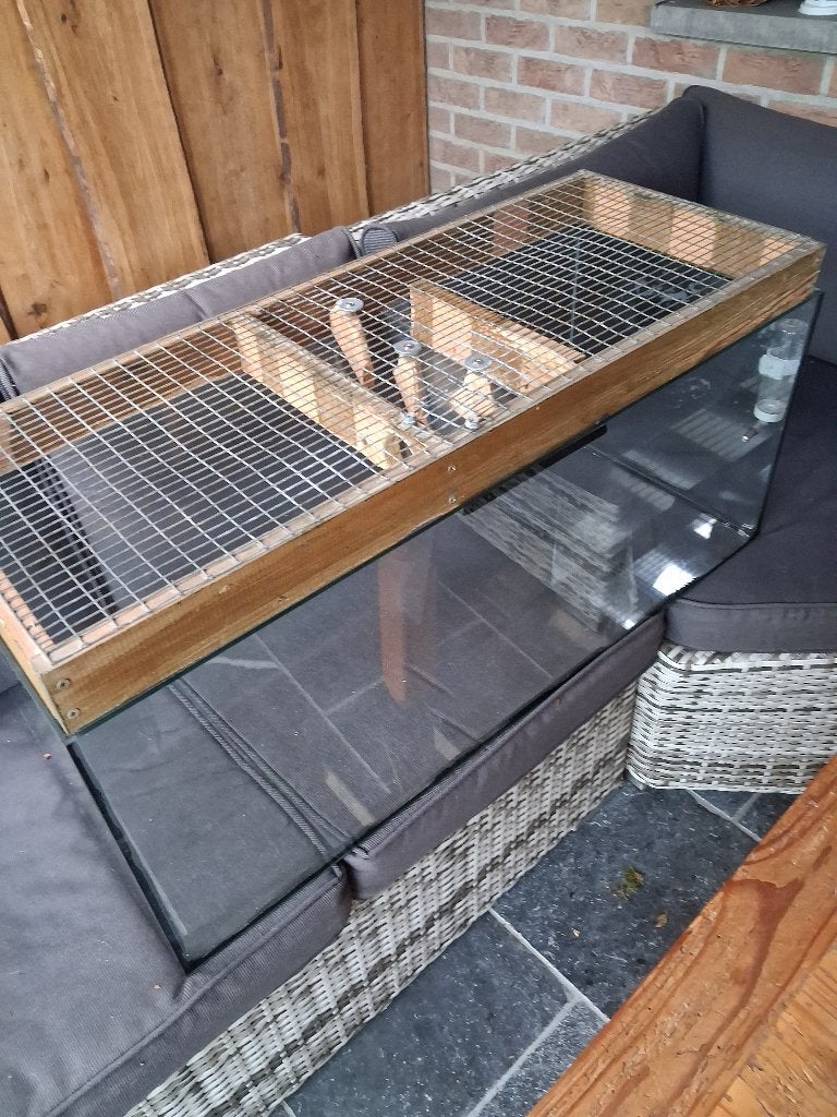 gerbil aquarium, Dieren en Toebehoren, Mei