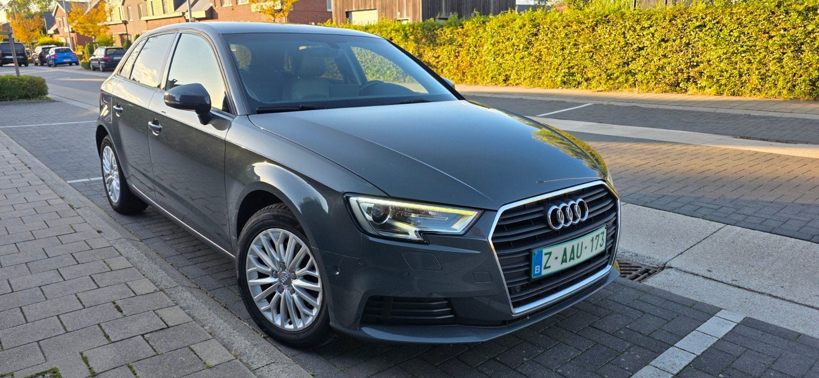 Audi A3 Sportback 2017 / 1.0i / Veel opties, Auto's, https://public.car-pass.be/vhr/b698c44f-27fa-48f5-8f13-af3df6fb9fc8, Euro 6