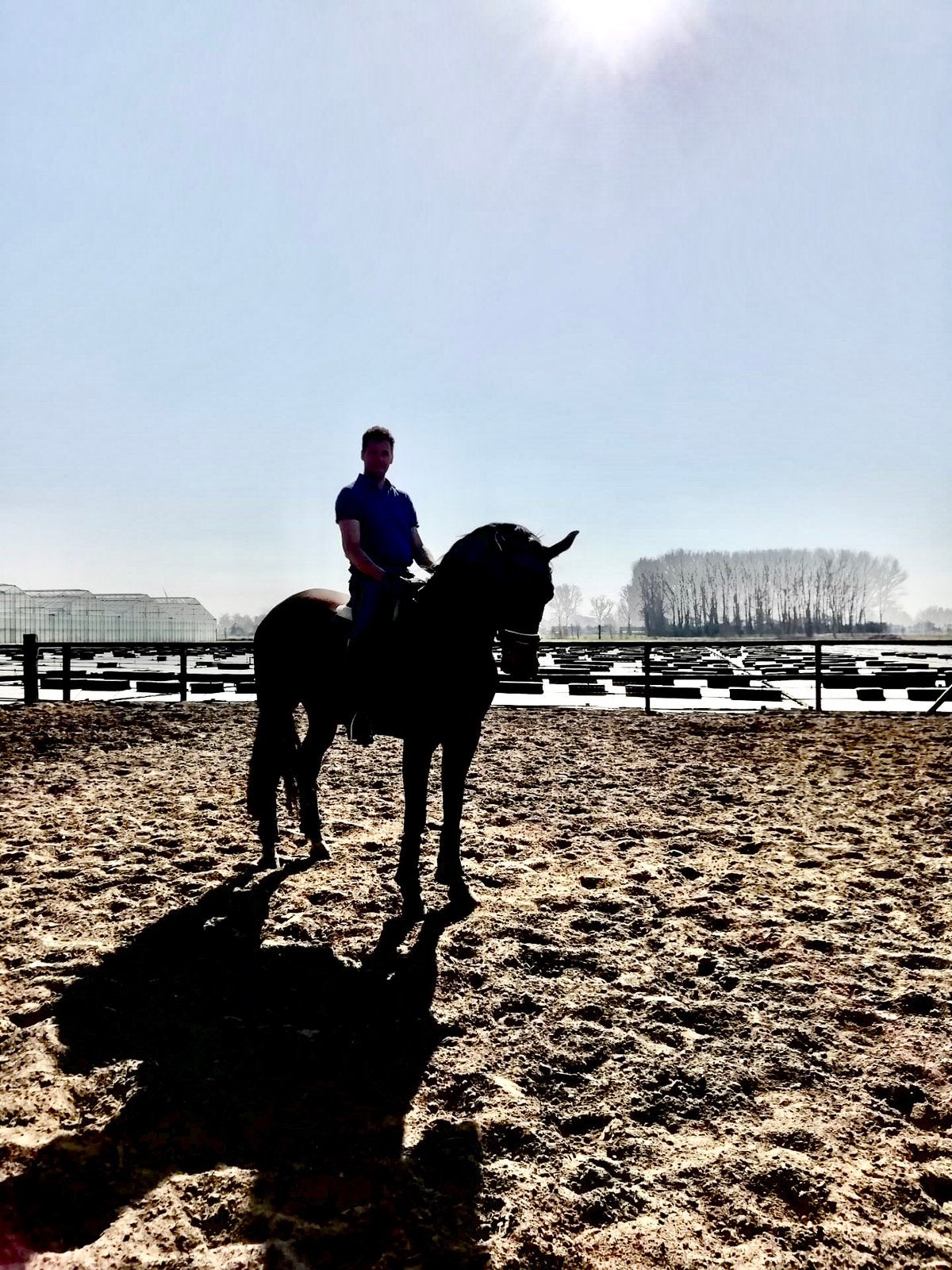 Betrouwbaar paard gezocht – blijvende thuis, Ruin, Gechipt, L, 11 jaar of ouder