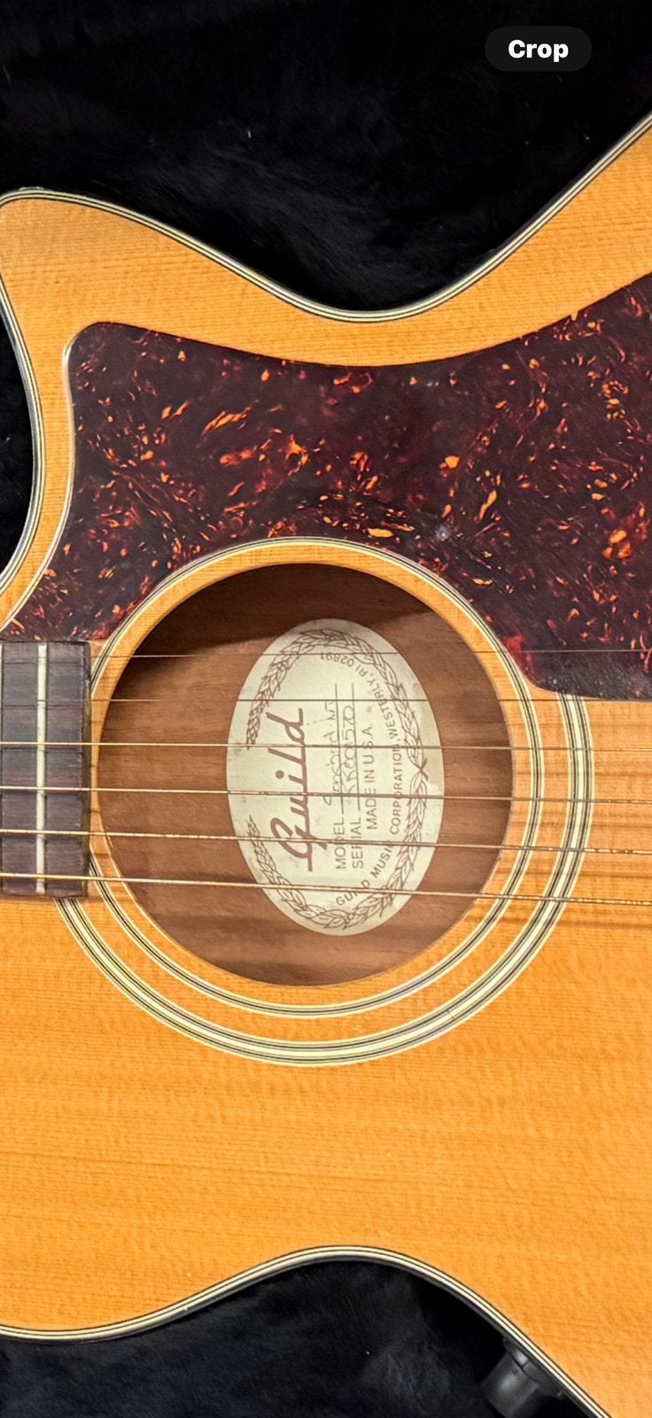 Electroacoustique Guild Songbird NT, Enlèvement, Comme neuf