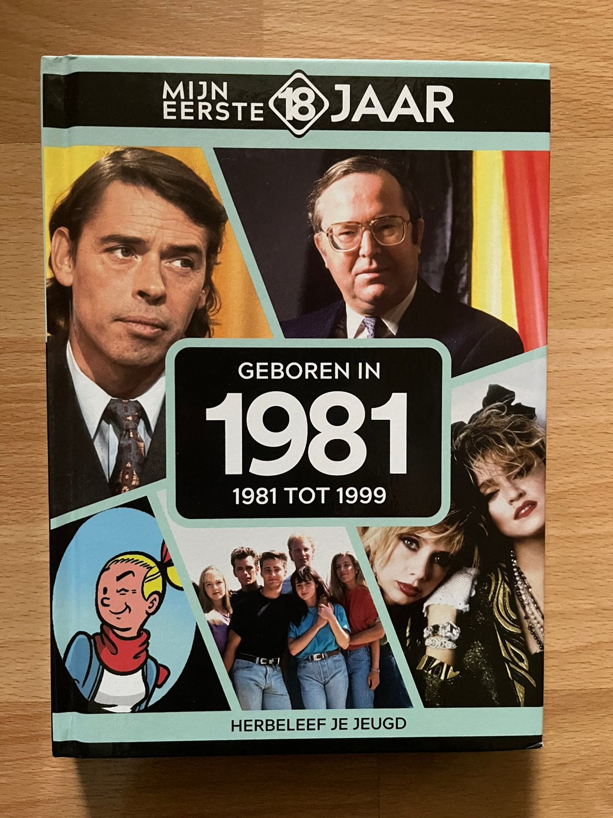 Boek Geboren in 1981, Livres, Histoire mondiale, Enlèvement ou Envoi, Comme neuf