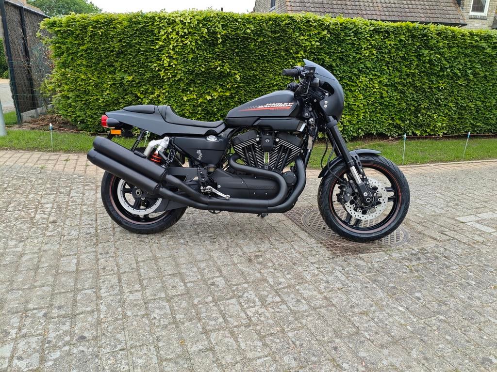 Harley-Davidson XR1200X, Motoren, Particulier