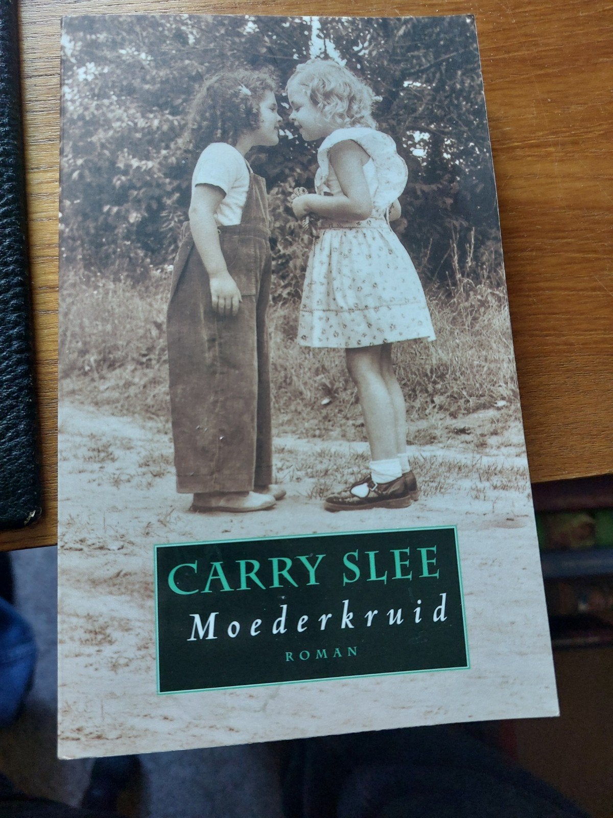 Carry Slee - Moederkruid, Ophalen of Verzenden, Zo goed als nieuw, Carry Slee