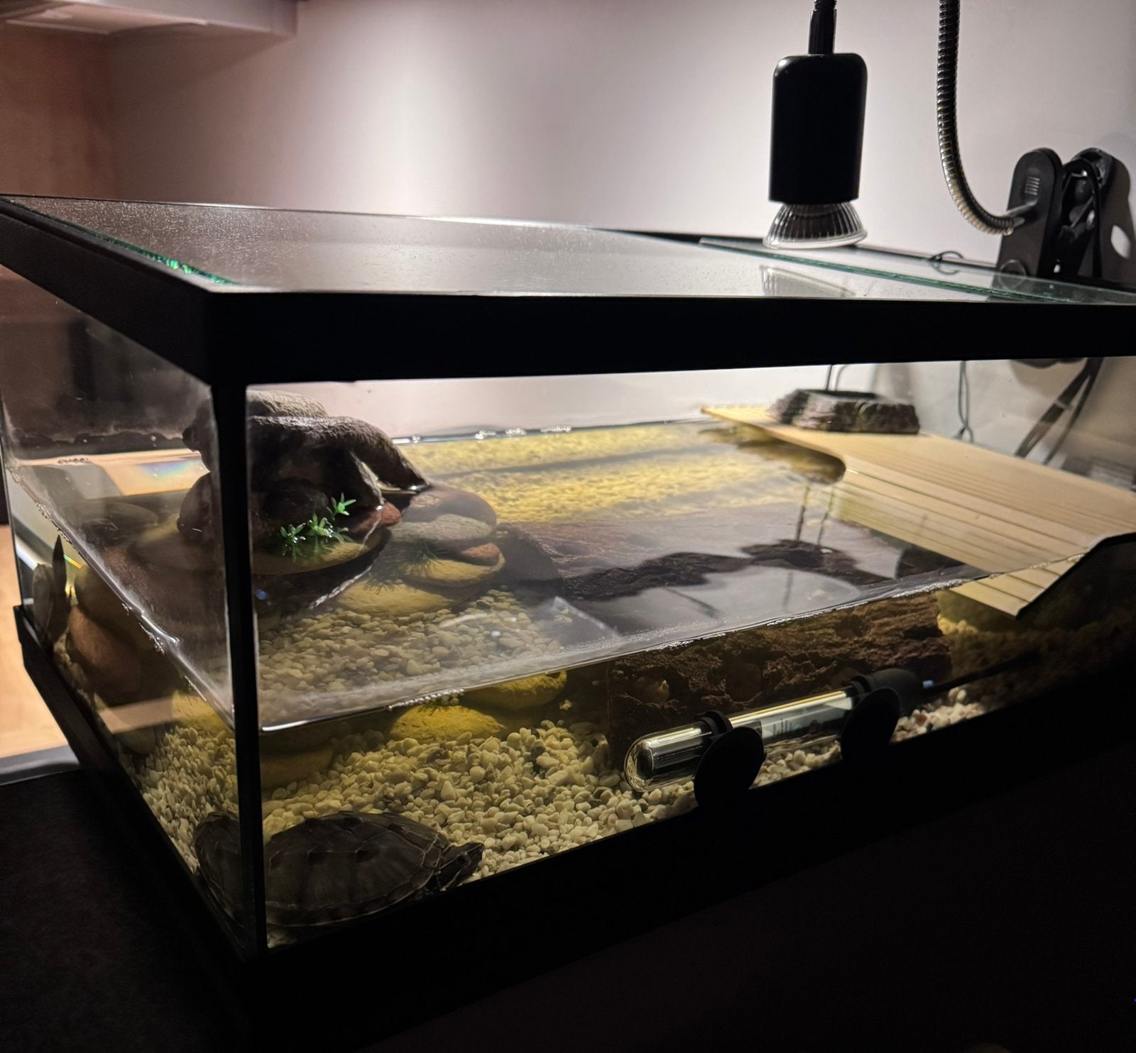 Waterschildpadjes, Enlèvement, Comme neuf