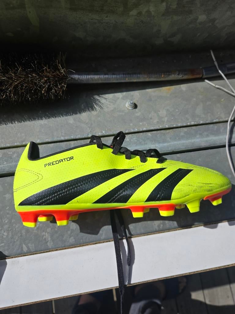 Adidas Predator schoenplaatjes, Ophalen of Verzenden, Zo goed als nieuw