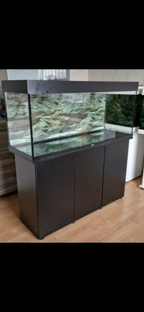 juwel rio 240 met meubel, Ophalen, Filter, Juwel