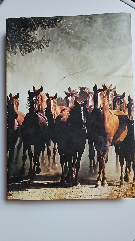 Artis - Historia : Onze Paarden, Ophalen