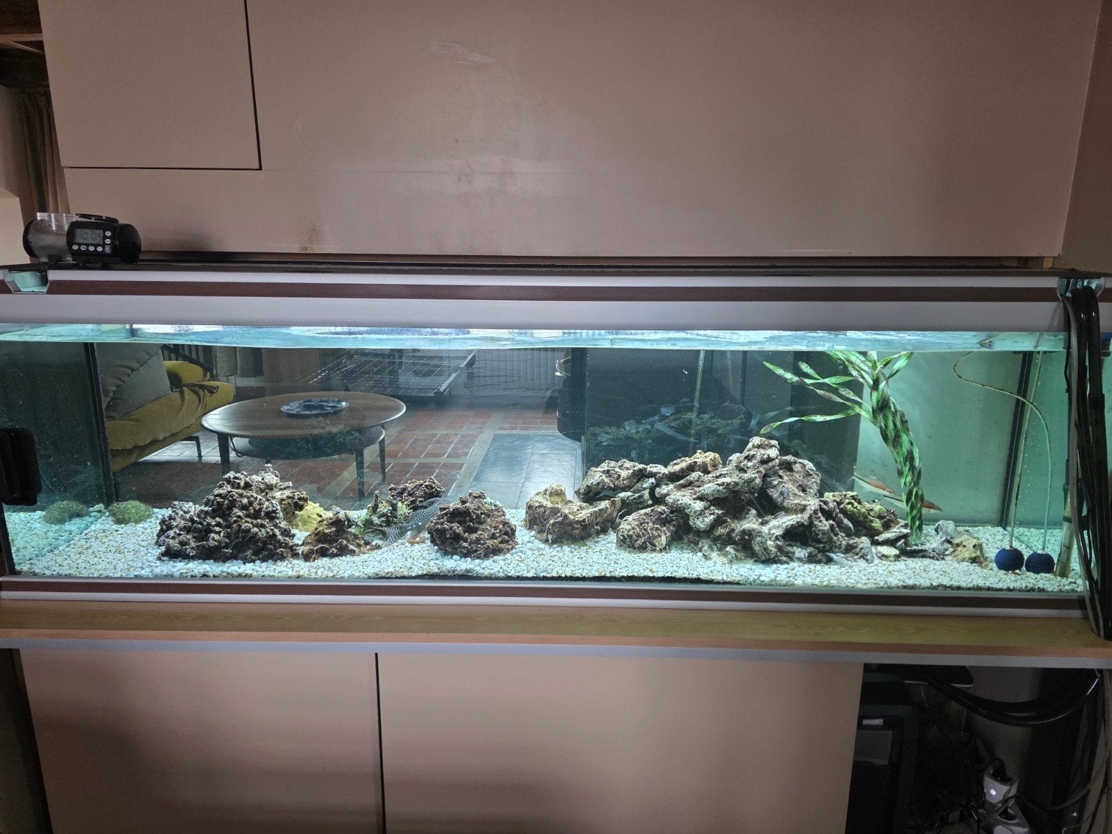 aquarium 400 litres vide, Utilisé