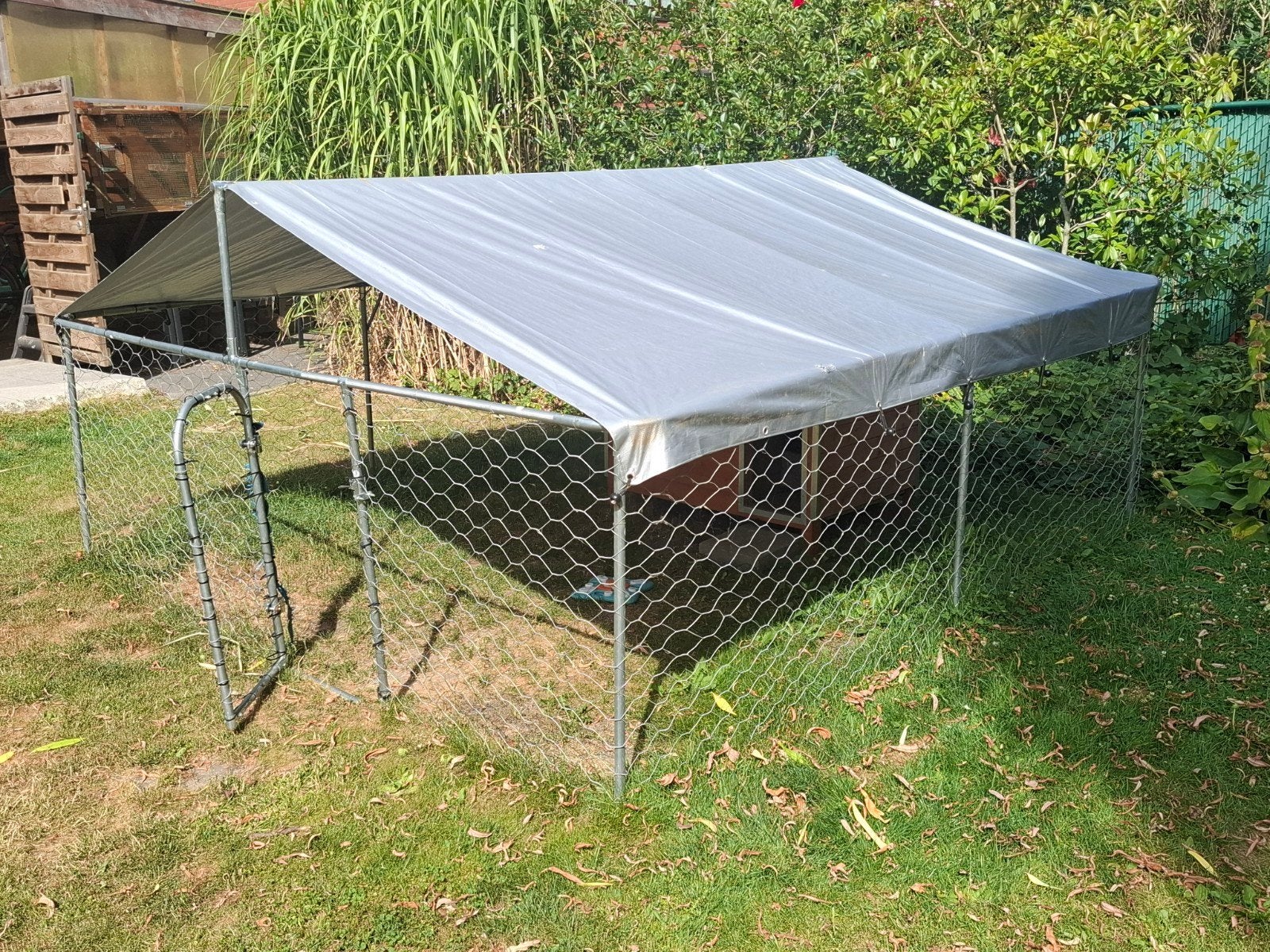 Eclos a poules, Enlèvement