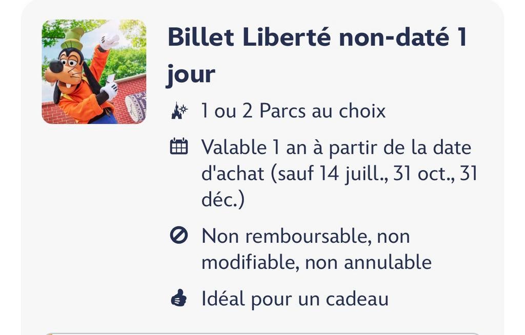 Disneyland Paris 5x billets Liberté 1jour 2 parcs, Tickets & Billets, Décembre