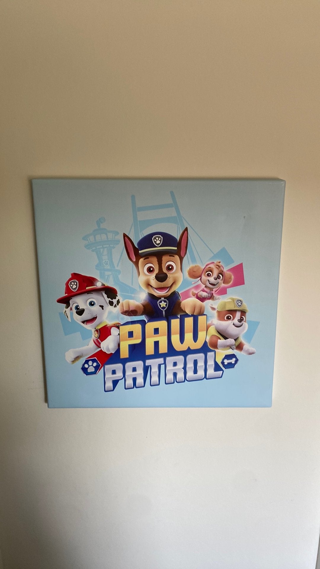 Kader paw patrol, Ophalen, Zo goed als nieuw