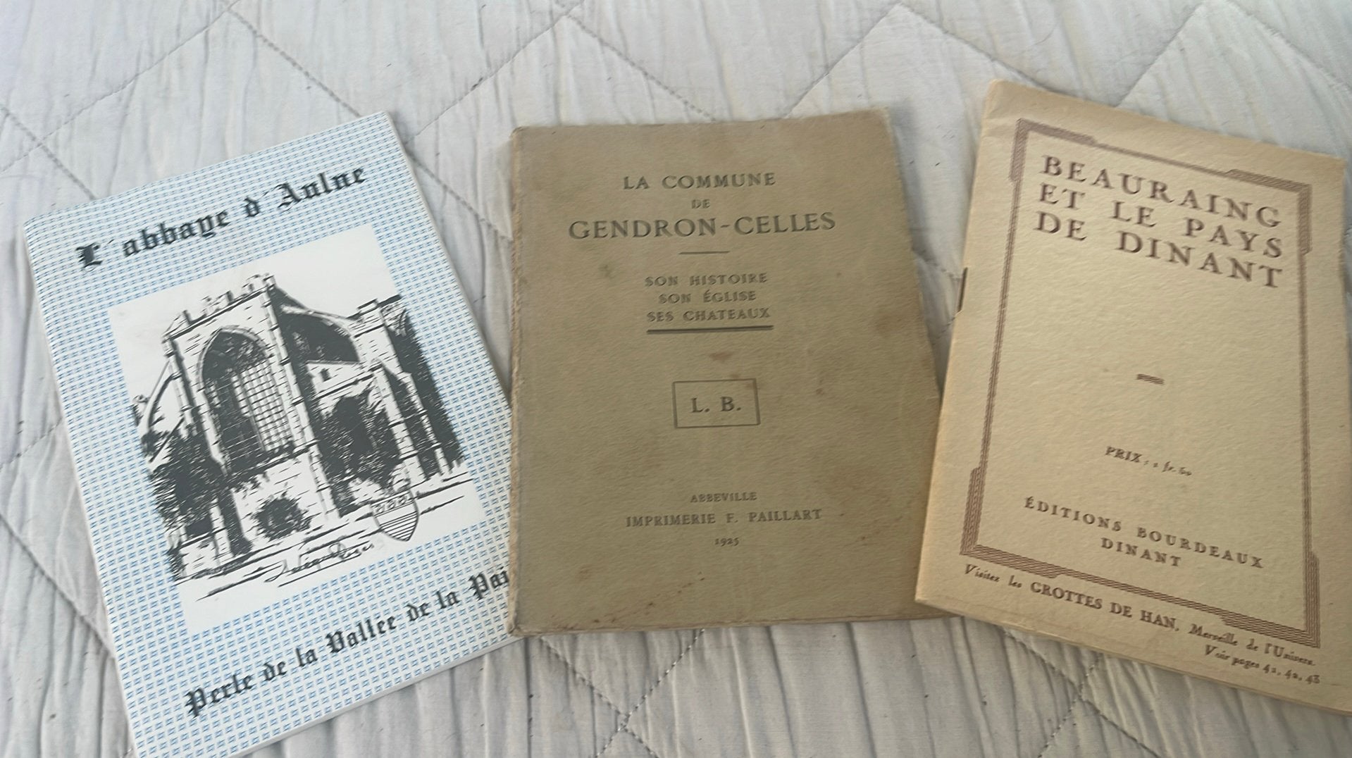 Livre ancien dinant aulne gendron-celles, Livres, Art & Culture | Photographie & Design, Enlèvement ou Envoi, Comme neuf