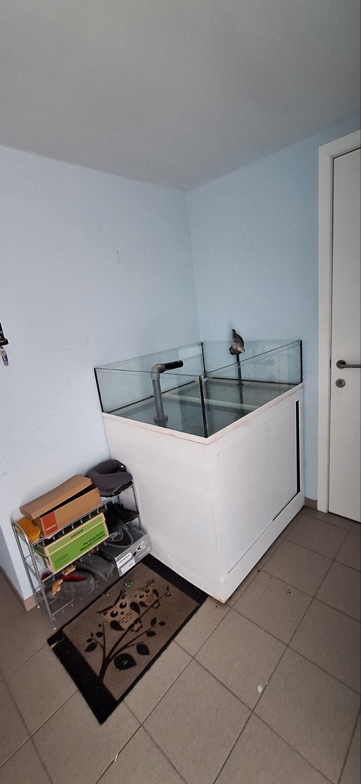 Aquarium avec puisard, Jardin & Terrasse, Serres, Enlèvement