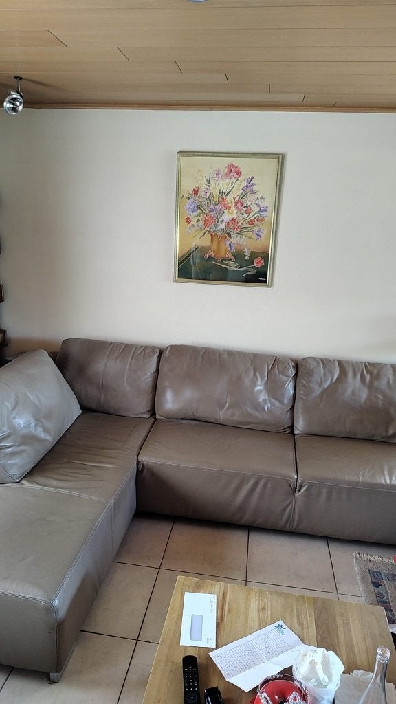 Hoeksalon, Ophalen, Gebruikt, Leer