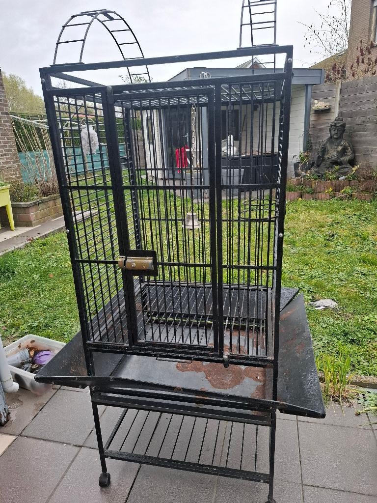 papegaaienkooi, Dieren en Toebehoren, Ophalen of Verzenden, Gebruikt, Metaal, Vogelkooi