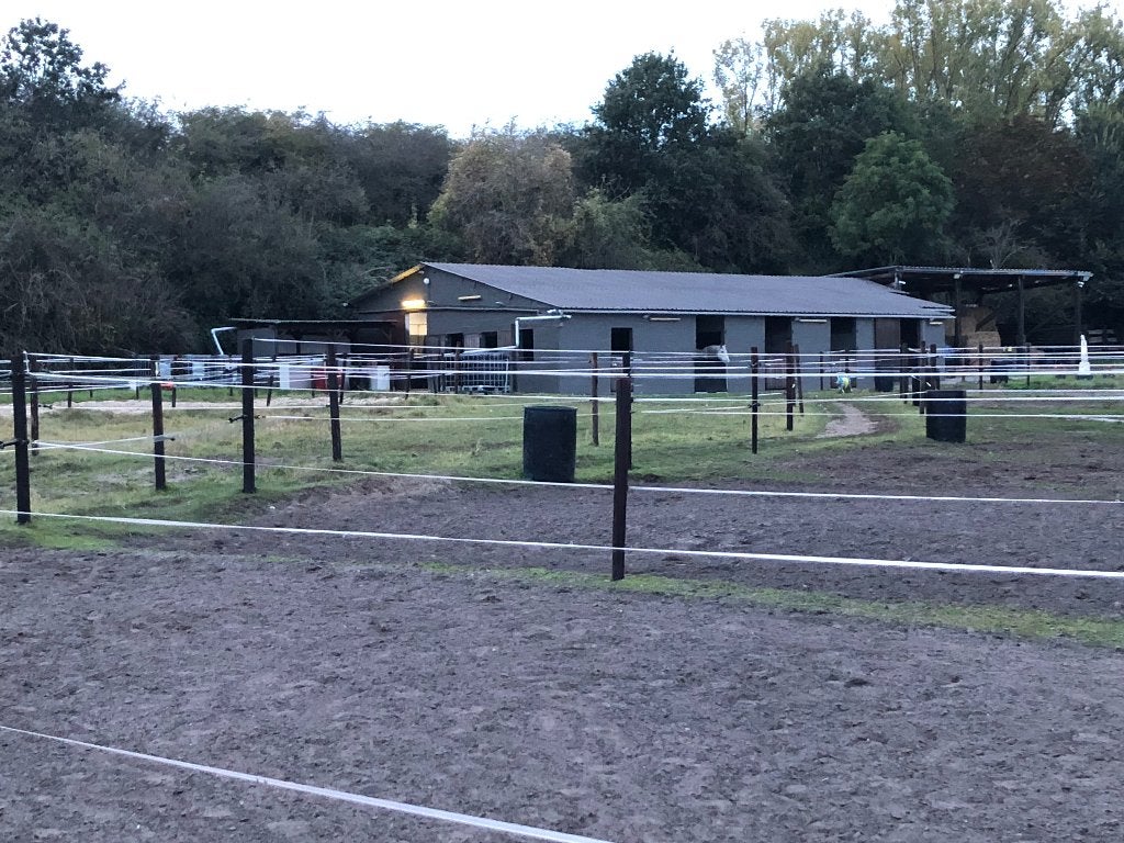 Ecurie privée loue box avec paddock + abri., Animaux & Accessoires, Box & Pâturages