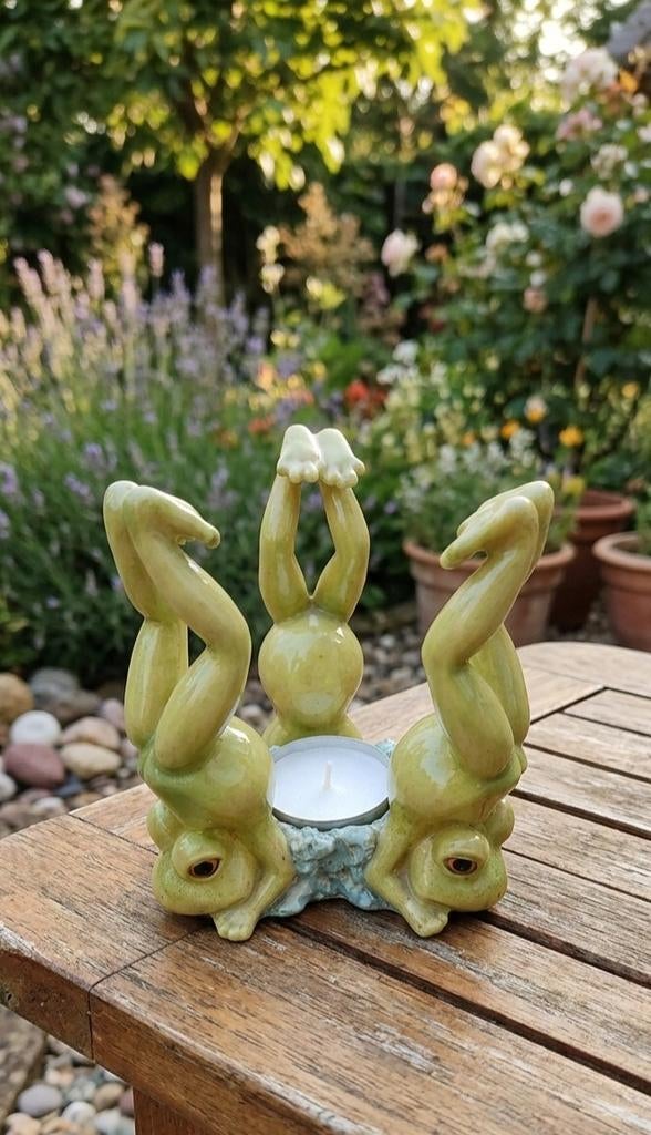 Originele Yoga Acrobat Frogs kaarshouder, Ophalen of Verzenden