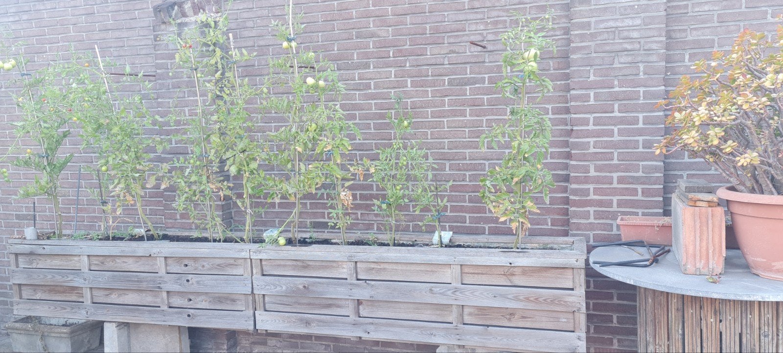 aluminium bak v,moestuin & planten +/- 3000x300x250mm, Tuin en Terras, Ophalen, Overige materialen, 100 cm of meer, Binnen