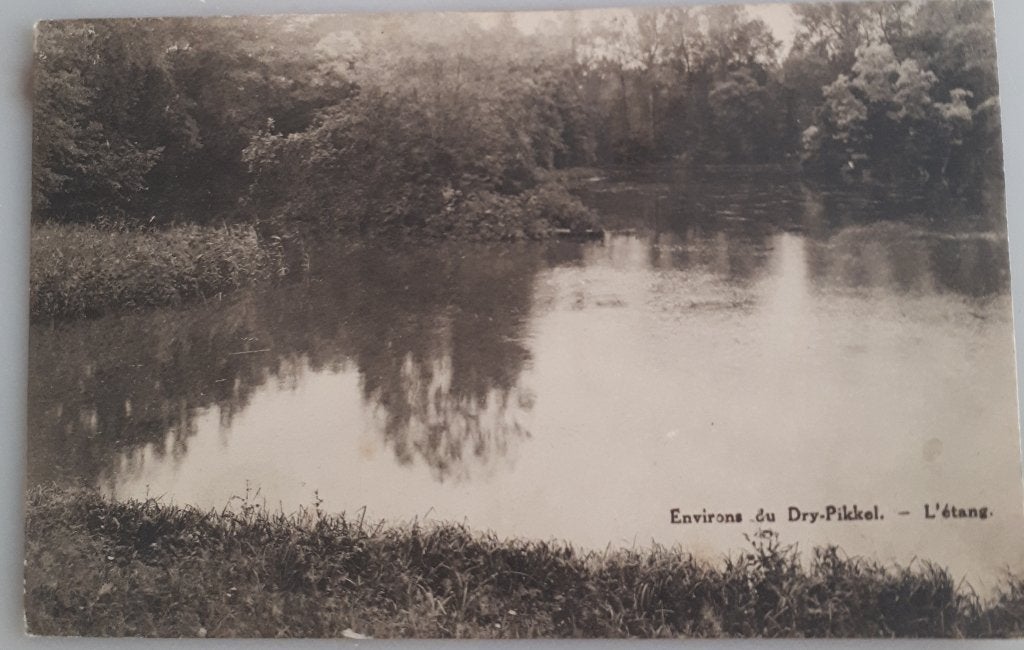 Bruxelles : Carte postale +- 1910 DRY-PIKKEL Étang Ref B7, Enlèvement ou Envoi, Avant 1920, Non affranchie, Bruxelles (Capitale)