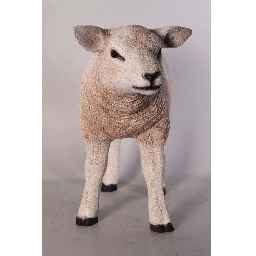 Texelaar Lam – Schaap beeld Lengte 58 cm, Ophalen, Nieuw