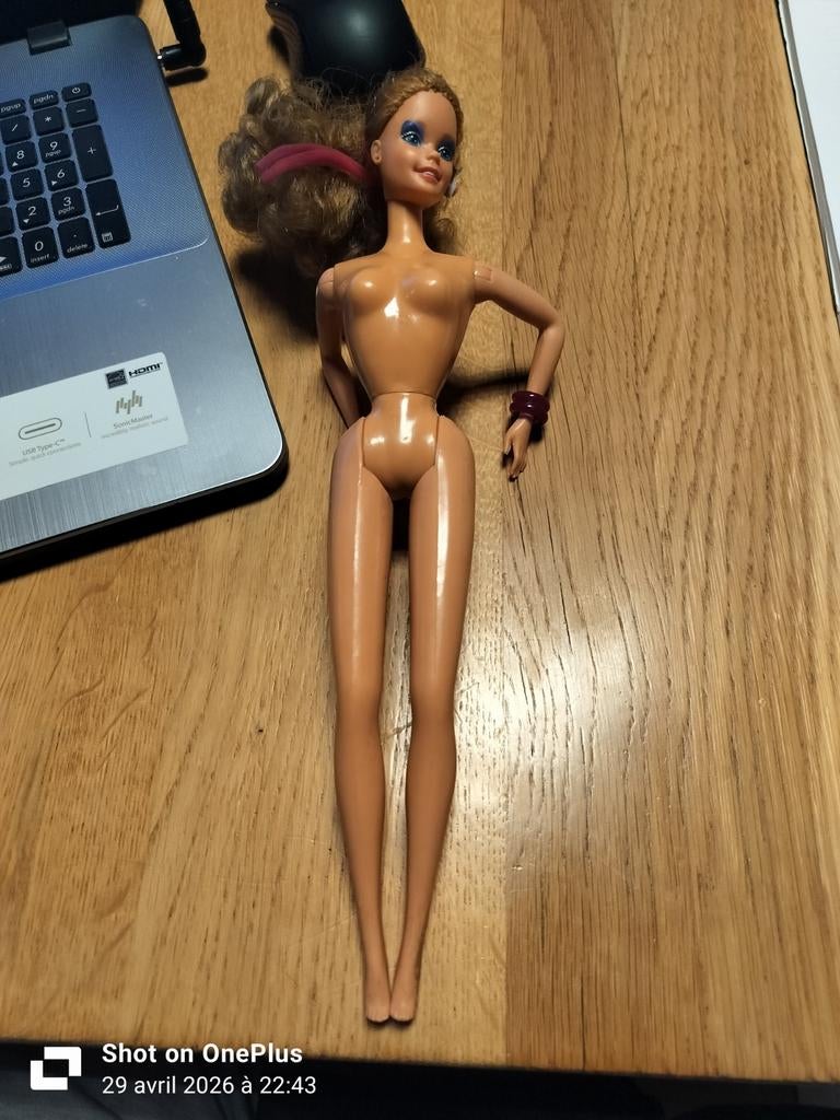Barbie 1966, Enlèvement