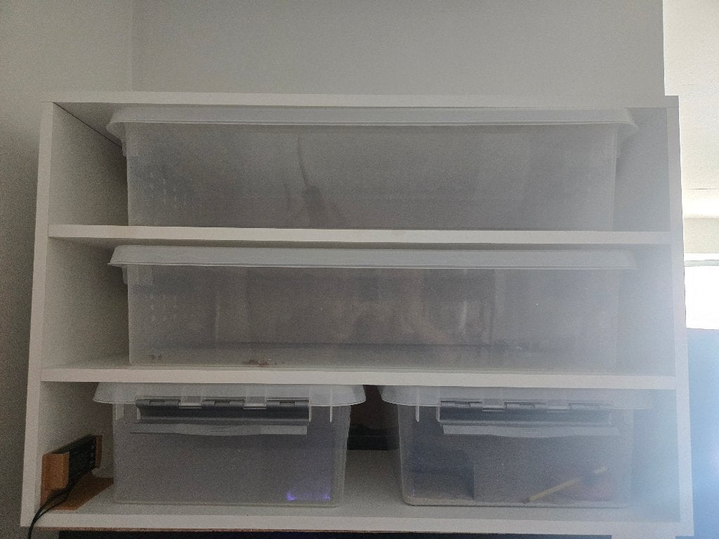 Rack 92B 62H 51D, Dieren en Toebehoren, Ophalen, Nieuw