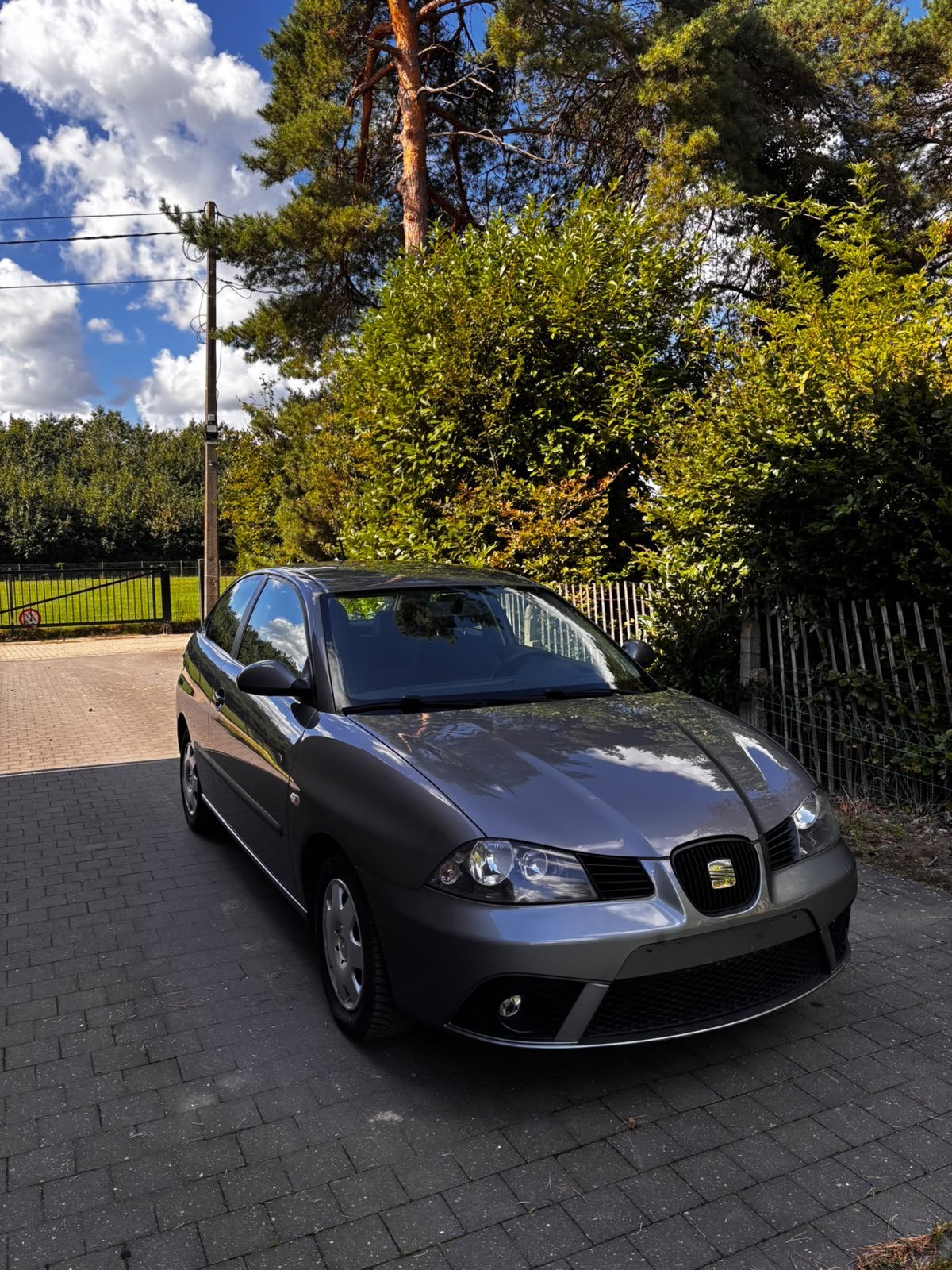 Seat ibiza, Autos, Achat, Ibiza, Diesel, Particulier
