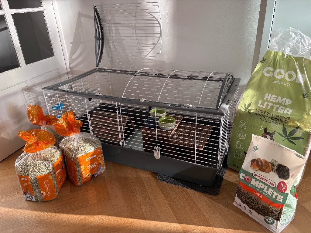 Cage cochon d'inde/lapin avec litière, foin, Ophalen, Kooi, 60 tot 90 cm, Cavia