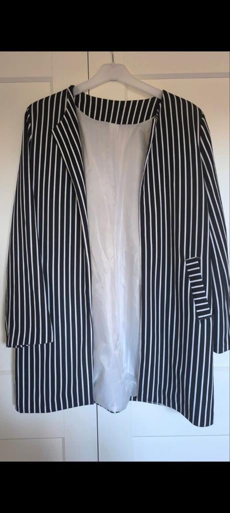 Mooie blazer maat 40, Ophalen of Verzenden, Maat 38/40 (M)