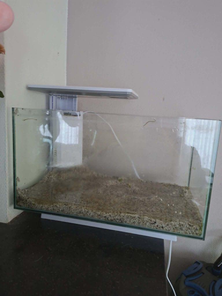 aquarium, Ophalen, Inclusief deksel, Gebruikt, Leeg aquarium