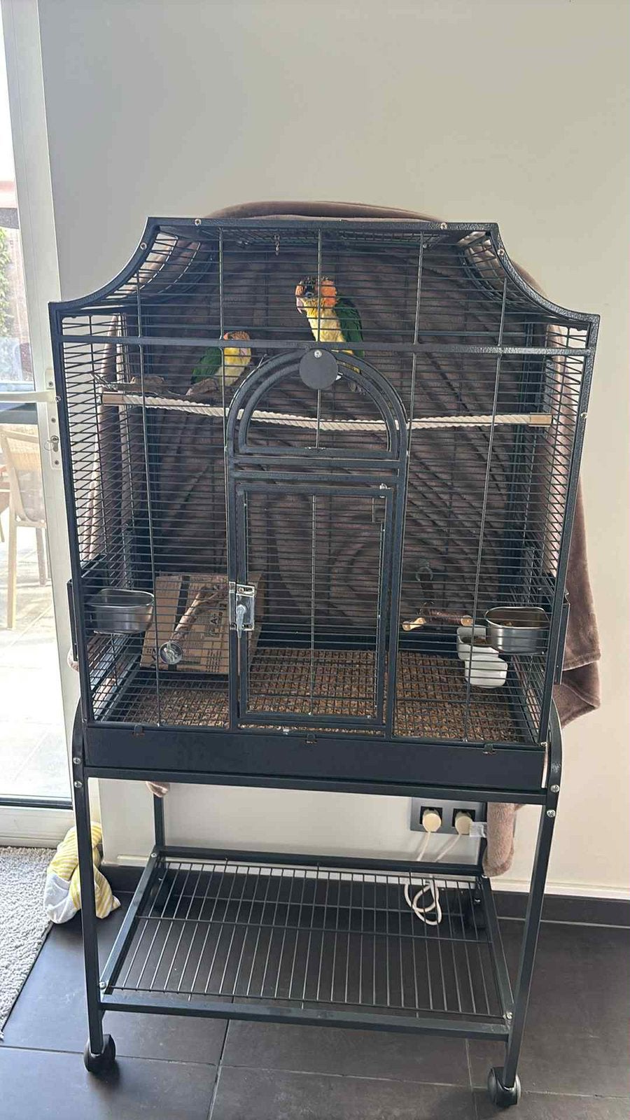 Montana Madeira I papegaaienkooi, Animaux & Accessoires, Enlèvement, Comme neuf, Cage à oiseaux