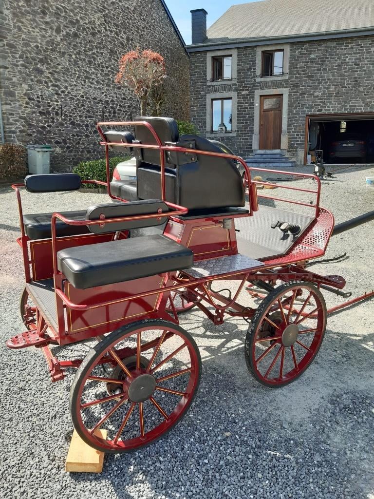 Calèche, Animaux & Accessoires, Voitures & Carrosses, Utilisé, Autres types, Cheval ou Poney