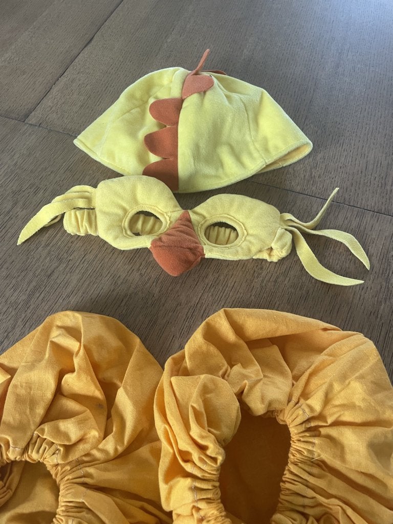 verkleedkledij kuiken, Ophalen, Gebruikt, Jongen of Meisje