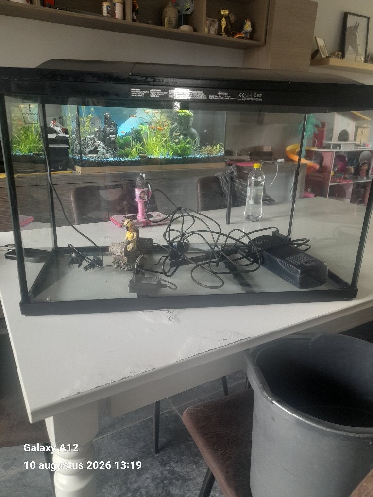 Aquarium met filter en verwarming, Couvercle inclus, Aquarium vide, Enlèvement, Utilisé