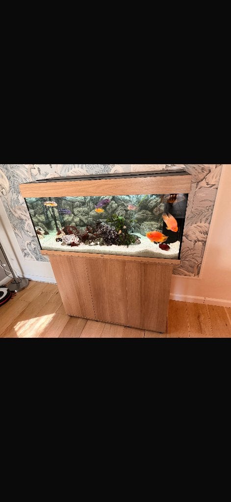 Juwel aquarium 180 liter incl Eheim pomp, Ophalen, Zo goed als nieuw