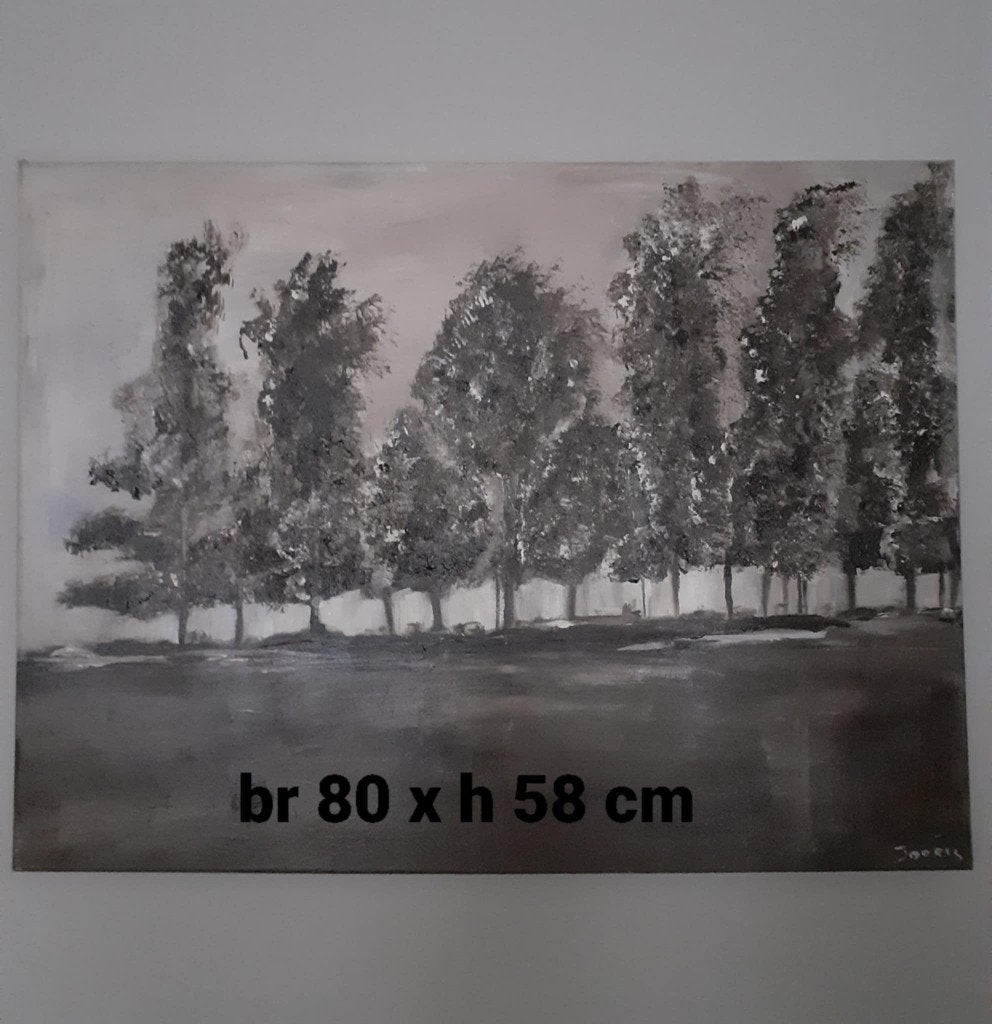 Canvas, Enlèvement, Comme neuf