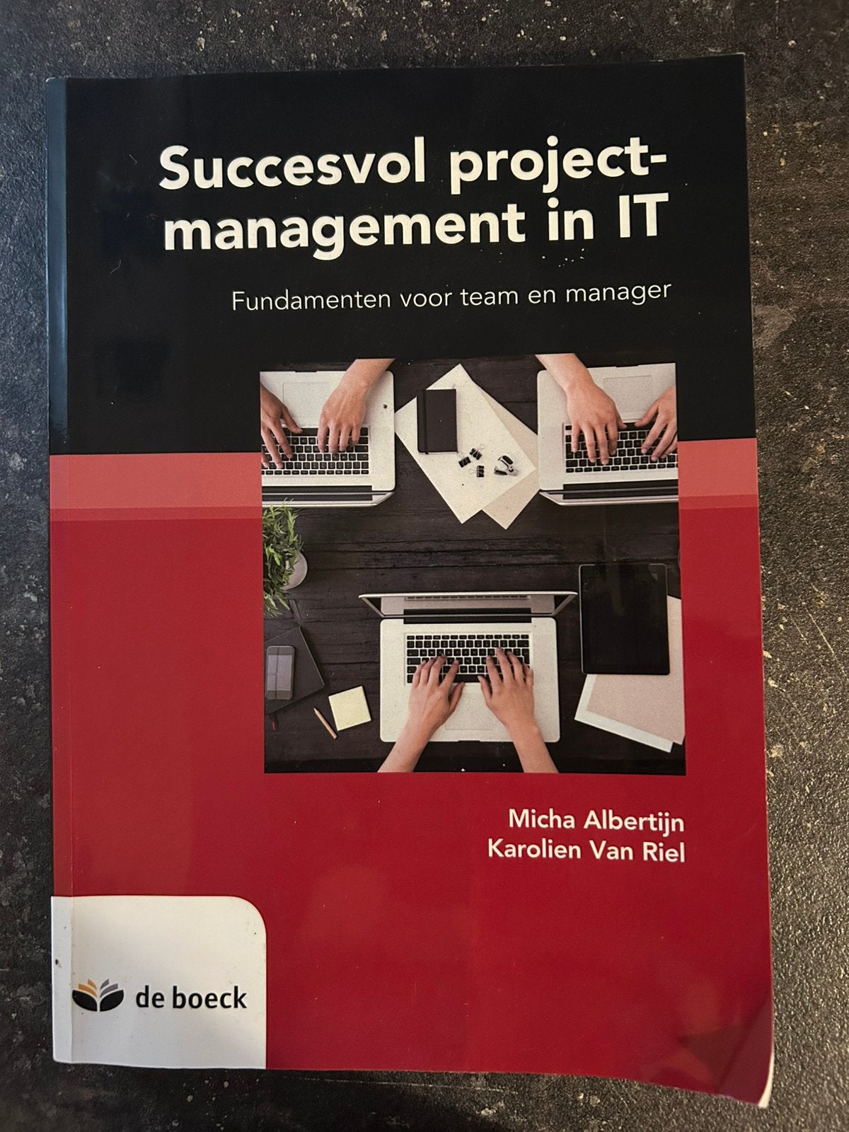 Micha Albertijn - Succesvol projectmanagement in IT, Ophalen, Micha Albertijn; Karolien Van Riel