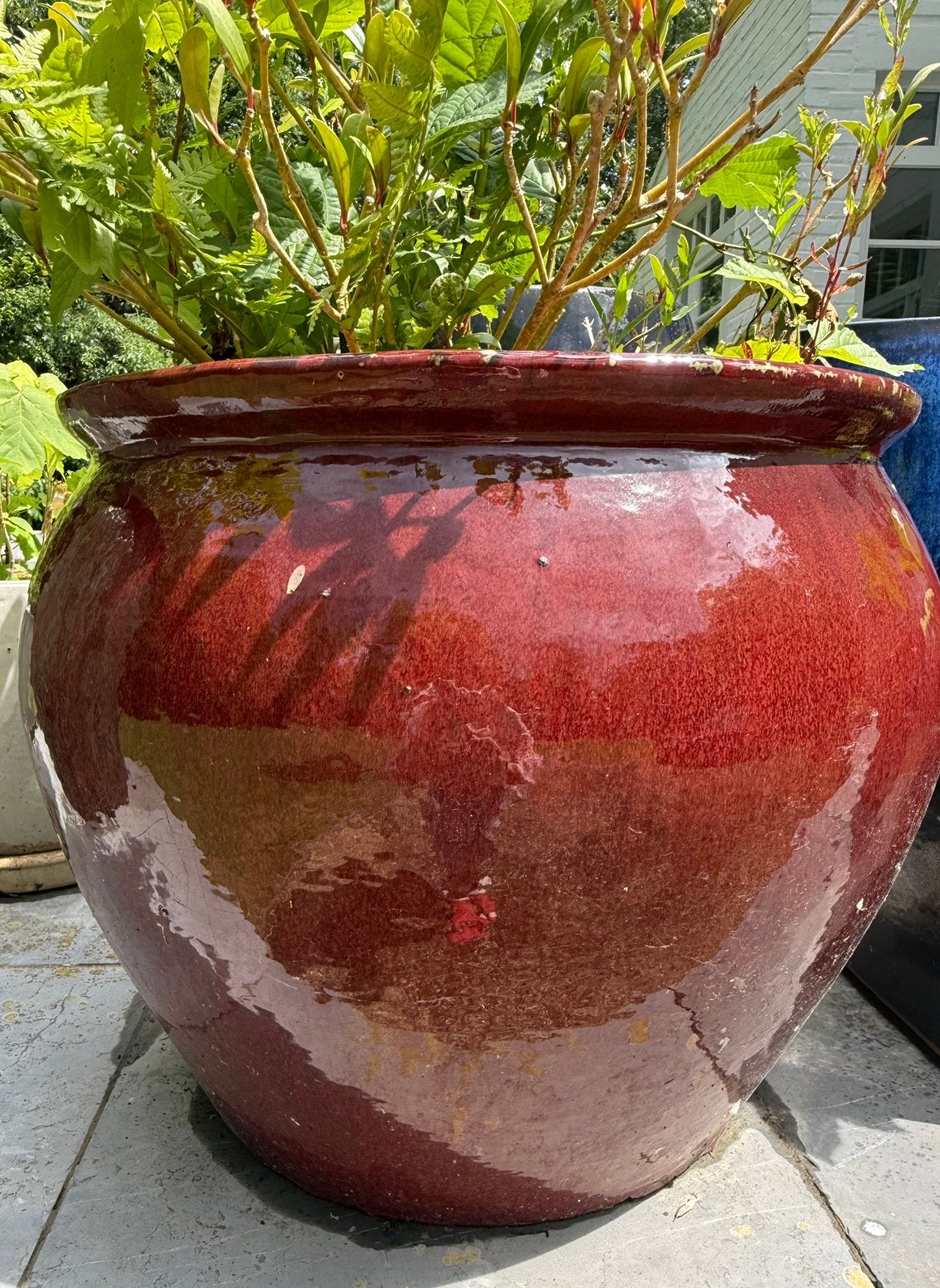 Pot en gres émaillé, Enlèvement, Comme neuf
