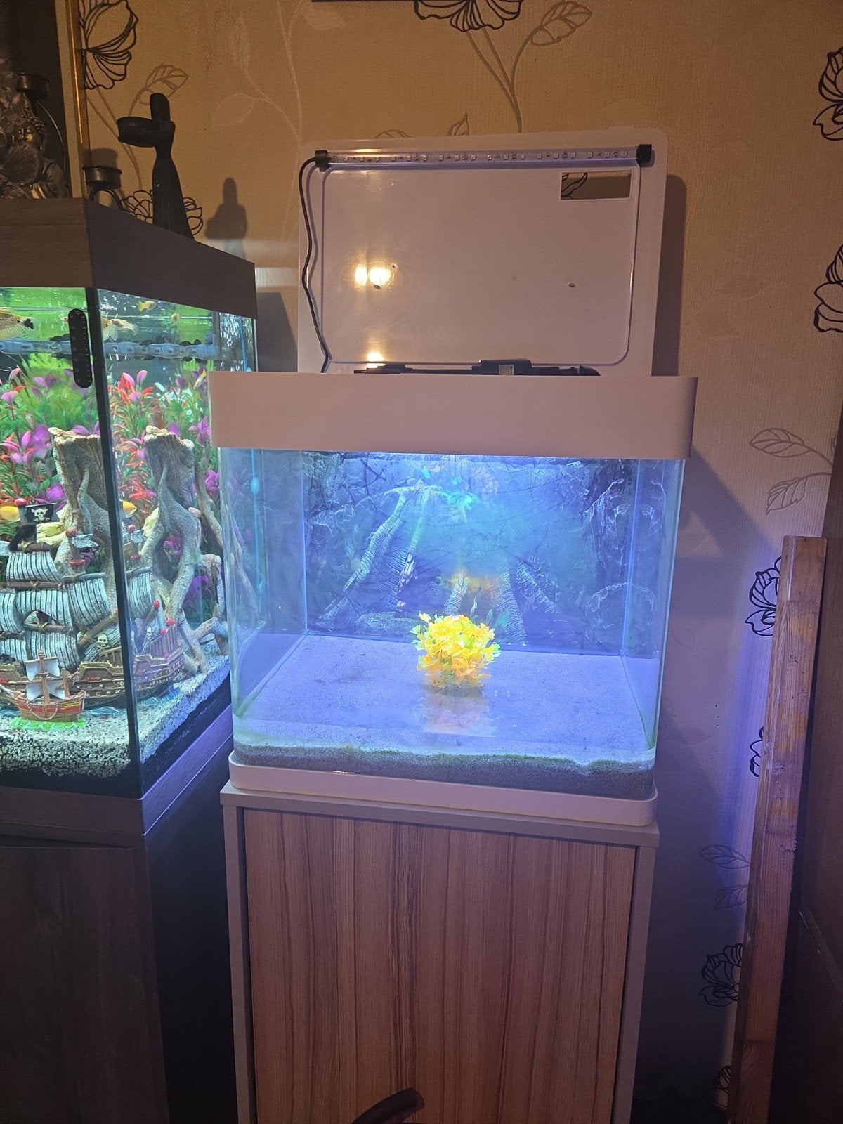 te koop aquarium 50liters met kast 200euro gsm 0497070141, Ophalen, Nieuw, Leeg aquarium, Superfish