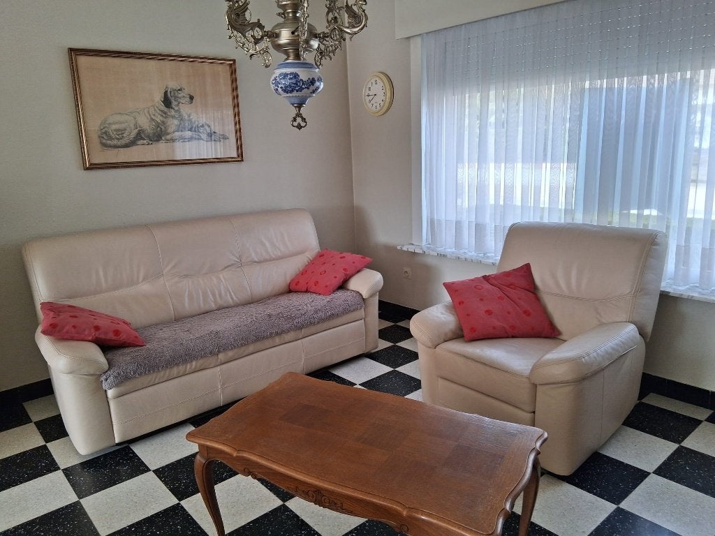salon, Ophalen, Gebruikt, Leer