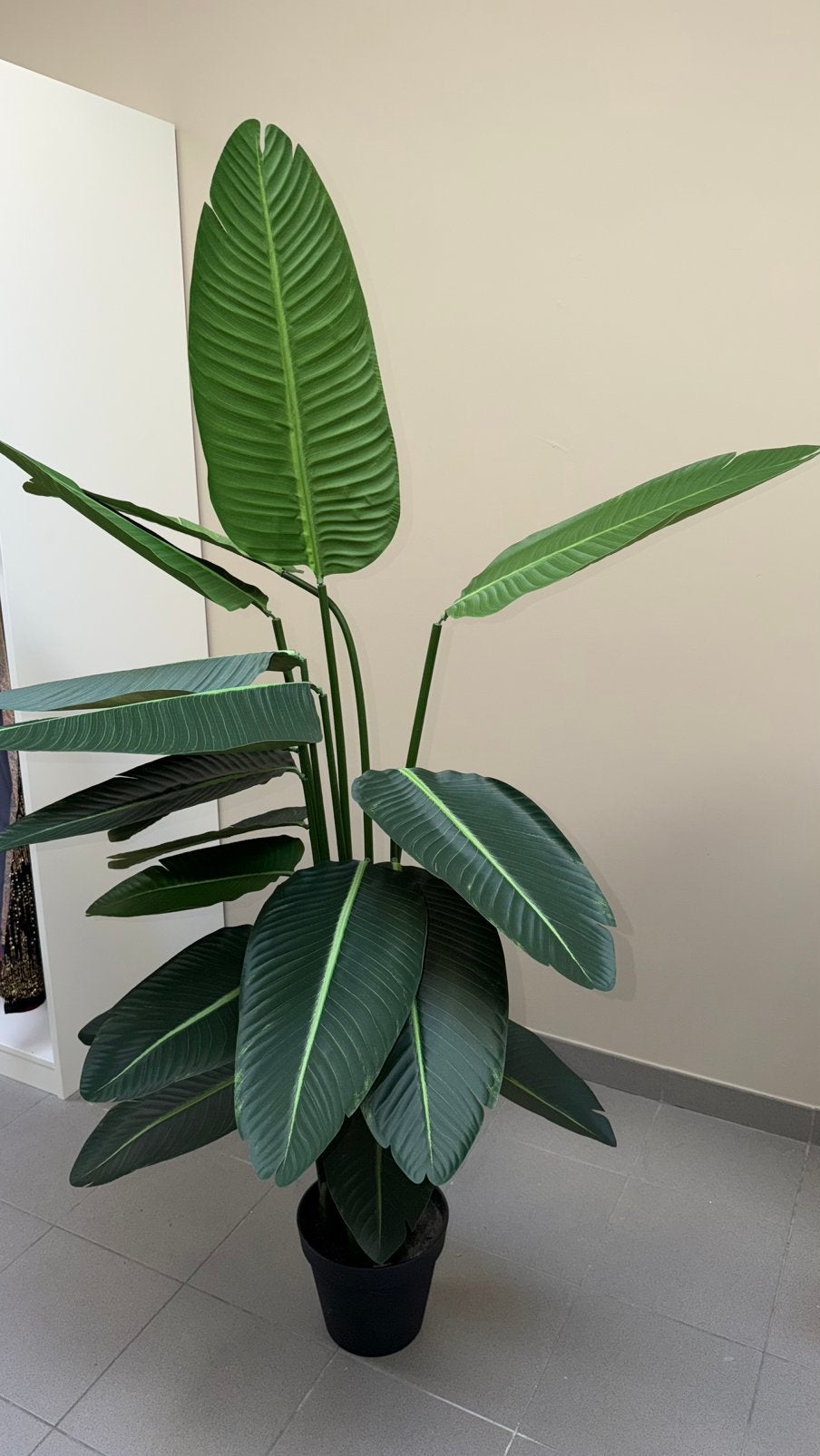 Kunstplant Action, Ophalen, 150 tot 200 cm