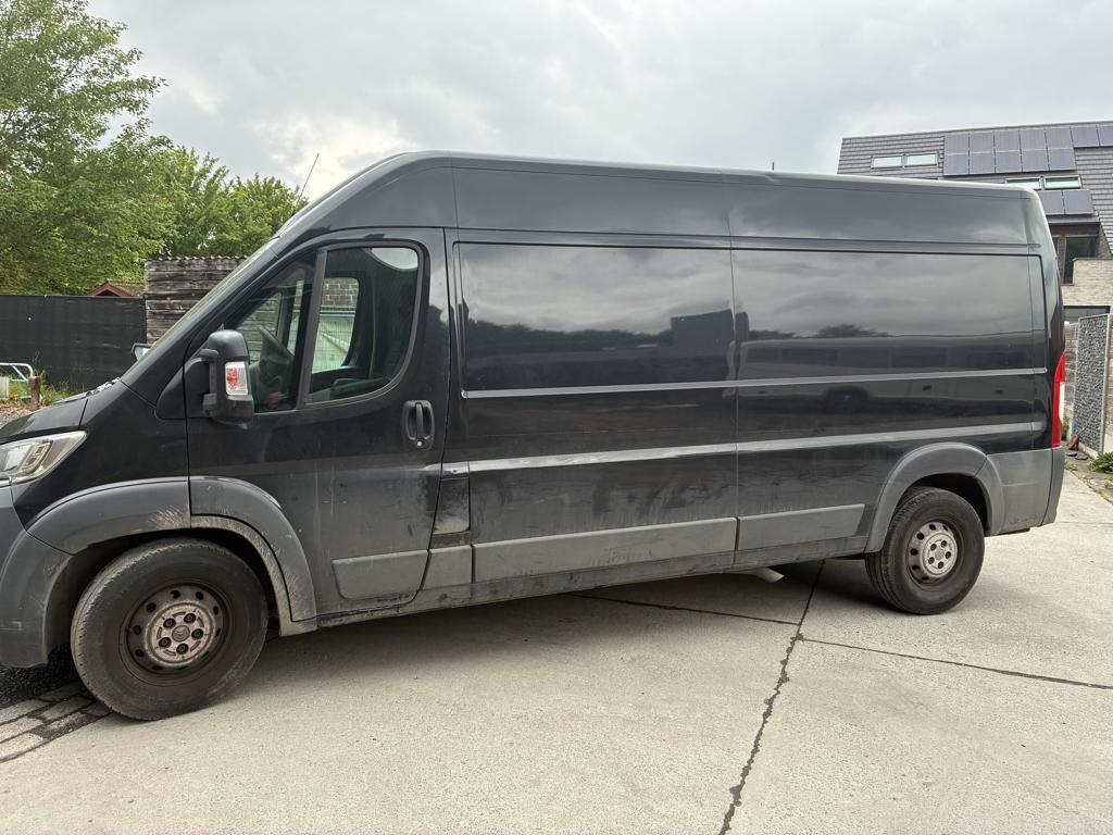 camionette te koop, Achat, Euro 6, Entreprise, 3000 kg