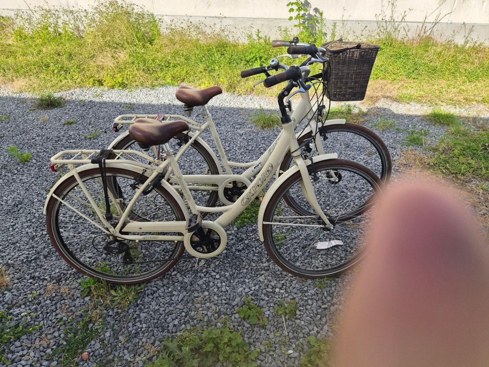 2 OXFORD DAMES FIETSEN