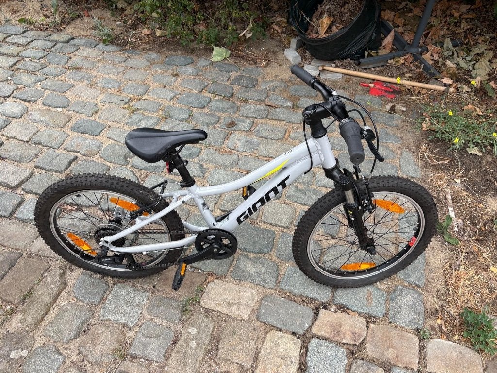 Vélo enfant, Enlèvement, Utilisé, 20 pouces ou plus, Giant