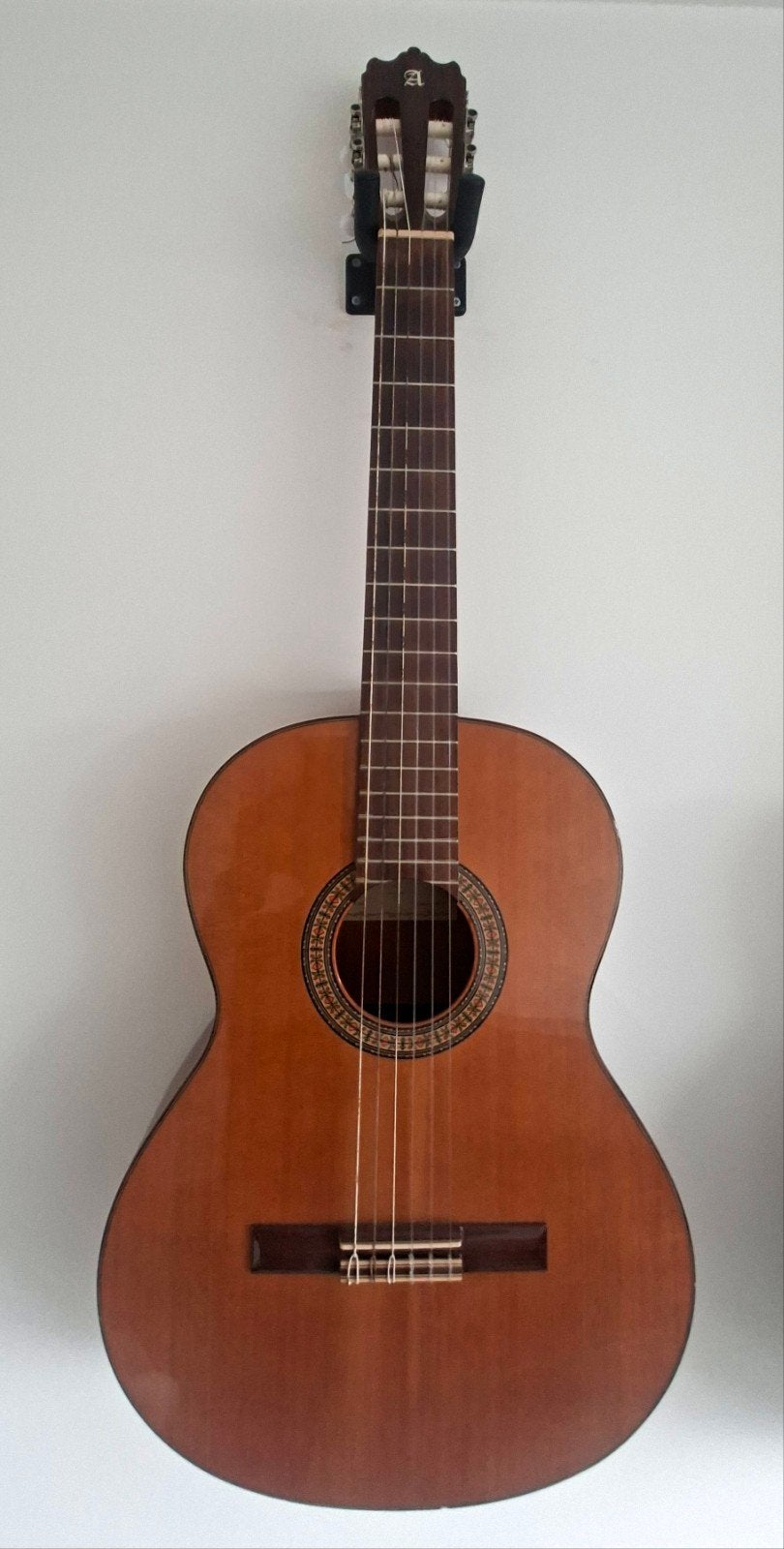 Guitare classique Alhambra 3C, Enlèvement