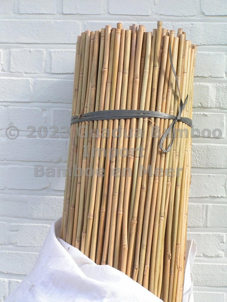 Bâtons de Tonkin, bâtons de bambou, support de bambou, Jardin & Terrasse, Enlèvement, Neuf, Autres types
