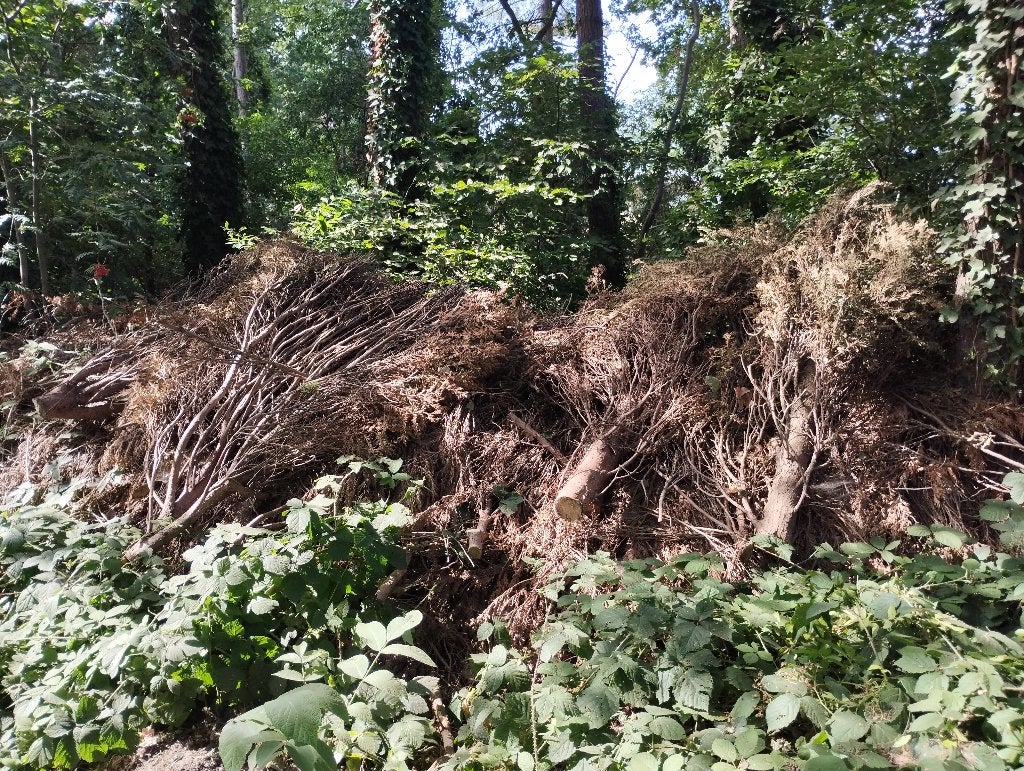 Brandhout, 3 tot 6 m³, Ophalen, Overige houtsoorten, Takken