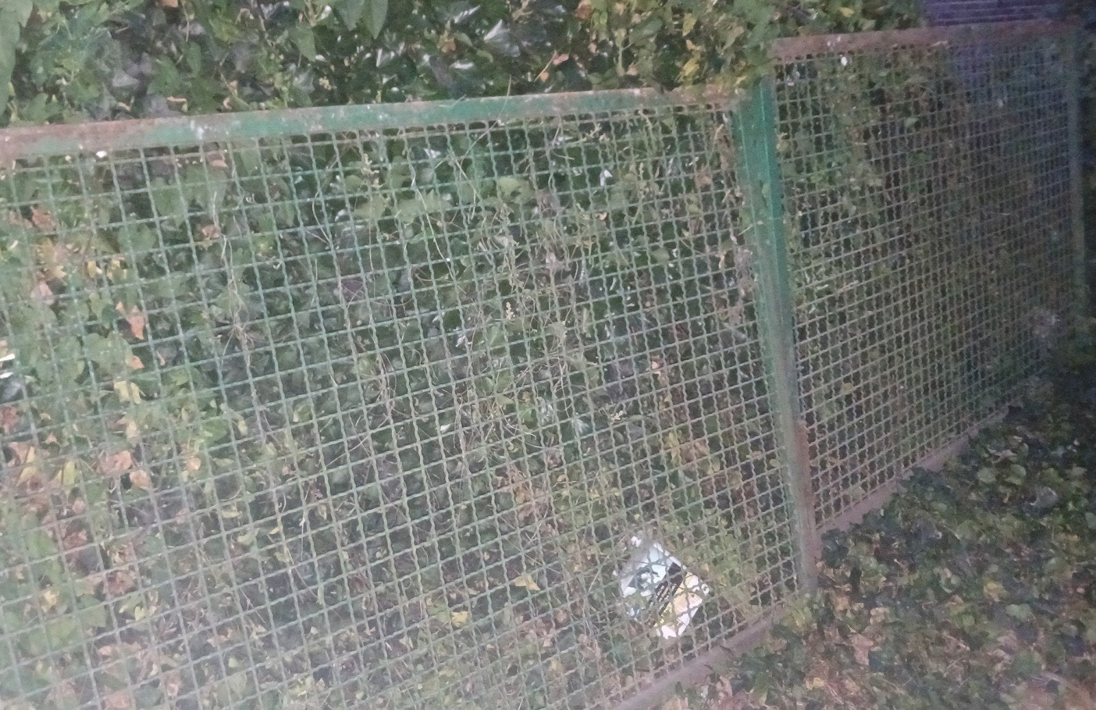 2 stevige weidepoorten, Dieren en Toebehoren, Stalling en Weidegang
