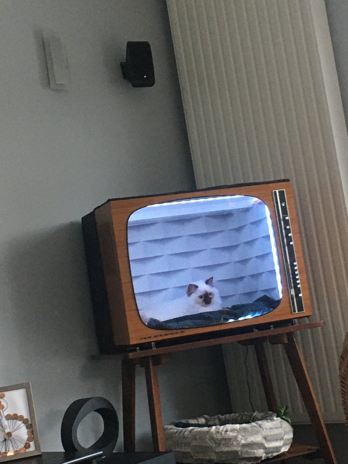 Ancienne TV transformée en niche pour chat, vintage, Enlèvement
