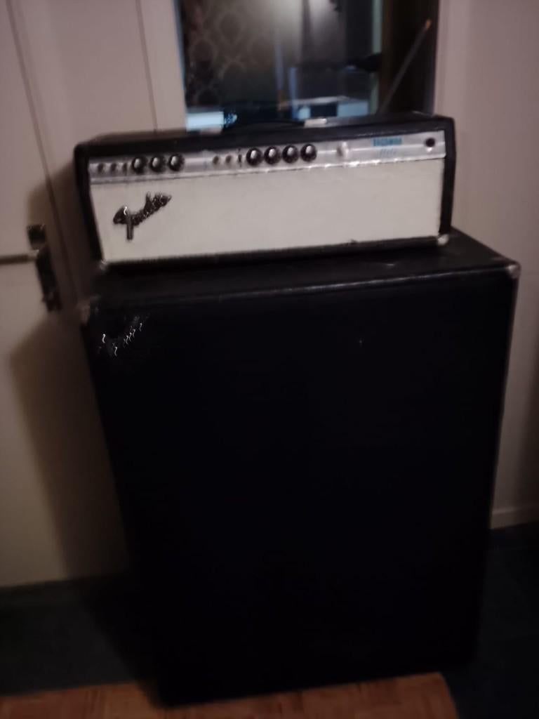 Ampli fender 100 à tubes, Musique & Instruments, Enlèvement, Utilisé, Guitare, 50 à 100 watts
